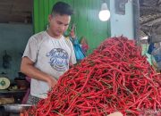 Harga Cabai Merah Makin Pedas di Aceh, Tembus Rp80 Ribu Per Kg 