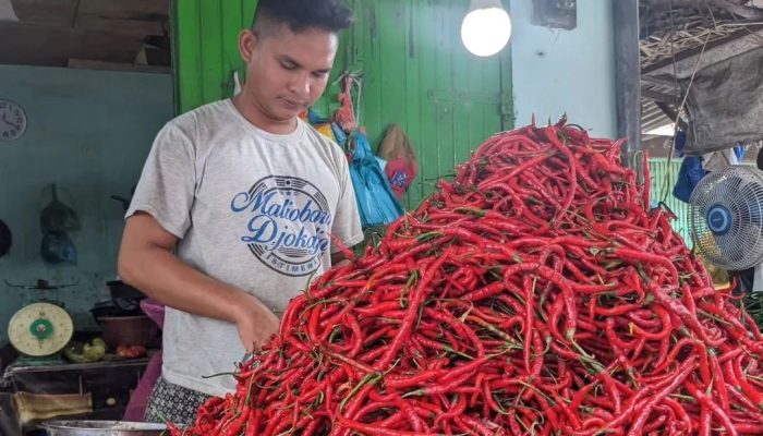 Harga Cabai Merah Makin Pedas di Aceh, Tembus Rp80 Ribu Per Kg 