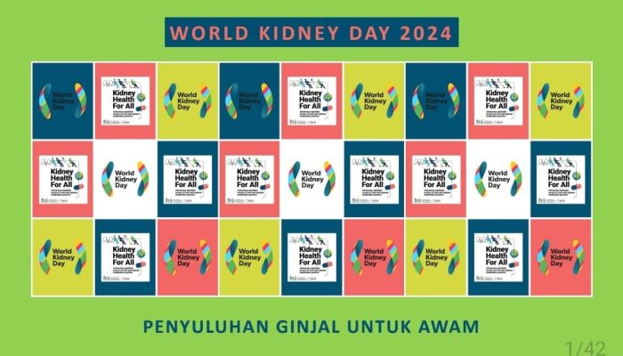 Begin Penjelasan Dokter Hemodialisa RSUD Langsa Tentang Penyakit Ginjal