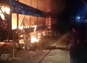 Ribuan Anak Ayam Terpanggang Akibat Kebakaran yang Terjadi di Langsa