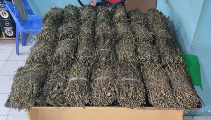 Kurir Ganja Asal Aceh Utara Diringkus di Takengon