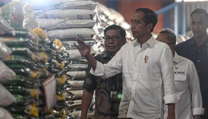 Jokowi Targetkan Pabrik Minyak Merah Hadir di Provinsi Lain