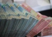 Apakah Pegawai Honorer Bakal Terima THR dan Gaji ke 13 Tahun Ini?