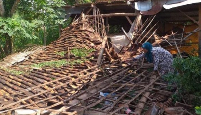 Gempa M 5,9 dan M 6,5 Tuban Terjadi di Zona Kegempaan Rendah, BMKG: Kami “Surprise”