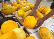 Sering Jadi Takjil untuk Buka Puasa, Apakah Timun Suri Bermanfaat untuk Kesehatan?