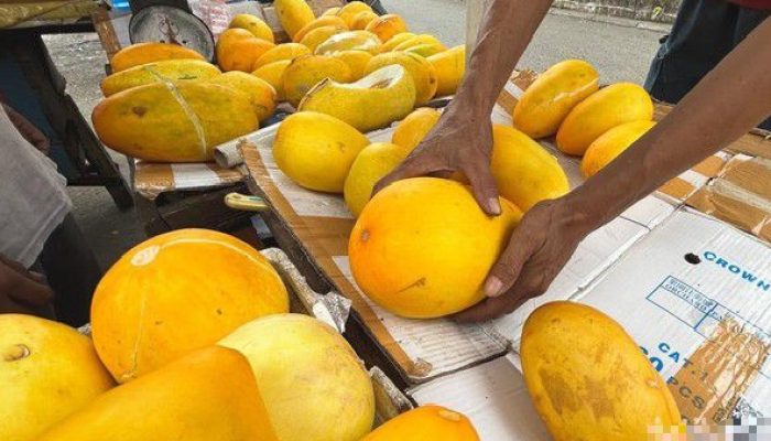 Sering Jadi Takjil untuk Buka Puasa, Apakah Timun Suri Bermanfaat untuk Kesehatan?