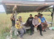 Bhabinkamtibmas Polsek Langsa Timur Jalin Kedekatan dengan Petani di Lahan Sawah