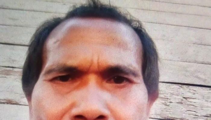 Pamit Cari Kayu di Hutan, Seorang Warga Serbajadi Dilaporkan Hilang