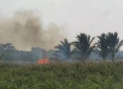Anggota Polsek Julok Bersama Damkar dan Anggota Koramil Padamkan Lahan Warga Yang Terbakar
