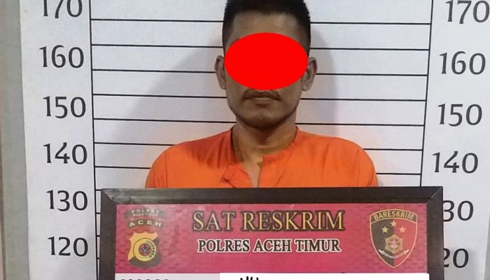 Satreskrim Polres Aceh Timur Amankan Pelaku Percobaan Pembunuhan dan Penganiayaan di Idi Cut