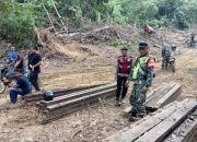 Tim Gabungan Temukan 30 Ton Kayu Hasil Illegal Loging di Banda Alam Aceh Timur 