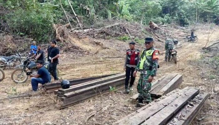Tim Gabungan Temukan 30 Ton Kayu Hasil Illegal Loging di Banda Alam Aceh Timur 