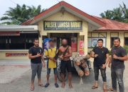 Tebang Pohon Bakau, Dua Warga Kuala Langsa Diringkus Polisi