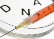 Ilmuwan Temukan Warga Papua Nugini Warisi DNA Langka, Bikin Kebal dari Penyakit