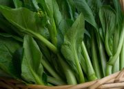 Apakah Sawi Hijau Boleh Dimakan Pengidap Asam Urat?