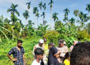 Pencari Madu Hutan di Aceh Utara Meninggal Terjatuh dari Pohon Setinggi 30 Meter