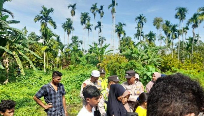 Pencari Madu Hutan di Aceh Utara Meninggal Terjatuh dari Pohon Setinggi 30 Meter