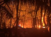 Api Masih Mengamuk di Pengeboran Minyak Ilegal Aceh Timur Hingga Tengah Malam