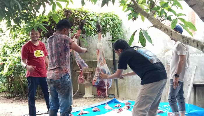 PNA Kota Langsa Sembelih Hewan Kurban Sapi dan Kambing di Idul Adha 1445 H