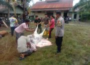 Warga Desa Matang Ara Jawa Potong 7 Lembu dalam Perayaan Idul Adha