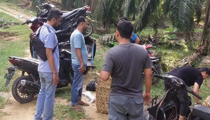 Grebek Judi Sabung Ayam di Langsa: Pelaku Kabur, Puluhan Barang Bukti Disita Polisi