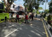 Patroli Printis Presisi Polres Langsa Bersihkan Pohon Bahayakan Pengguna Jalan