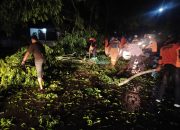 Polsek Langsa Barat Atasi Pohon Tumbang di Jalan TM. Bahrum, Lalu Lintas Kembali Normal