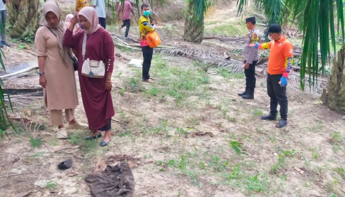 Warga Rantau Selamat Digegerkan Penemuan Mayat Di Kebun Sawit