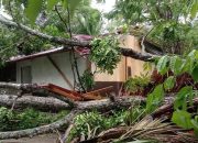 Angin Kencang Rusak Puluhan Bangunan di Simpang Rangkaya, Aceh Utara
