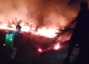 Lahan Sawit Terbakar di Nagan Raya