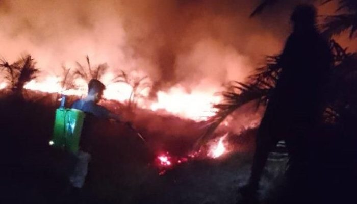 Lahan Sawit Terbakar di Nagan Raya