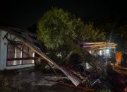 Aksi Sigap Sat Samapta Polres Langsa Selamatkan Warga dari Pohon Tumbang yang Hancurkan Mobil dan Teras