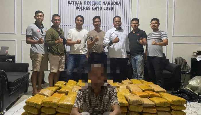 Satresnarkoba Polres Gayo Lues Berhasil Ungkap Peredaran 250 Kg Ganja