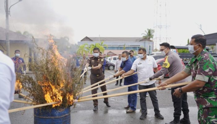 Polres Pidie Berhasil Musnahkan Barang Bukti Narkotika Jenis Sabu dan Ganja