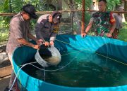 Himbauan Menjelang Pilkada: Warga Diharapkan Tetap Fokus Pada Ketahanan Pangan
