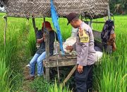 Jelang Pilkada, Bhabinkamtibmas Polsek Langsa Aktif Sambangi Warga untuk Cegah Potensi Gangguan Kamtibmas