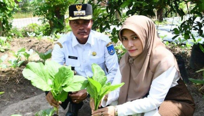 Pj Wali Kota dan TP PKK Kota Langsa Tinjau Pekarangan Pangan Lestari di Sejumlah Gampong