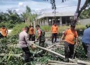 Bhabinkamtibmas Polsek Langsa Barat Bantu Warga Bersihkan Pohon Tumbang dan Sampaikan Pesan Kamtibmas
