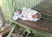 Bayi Perempuan Ditemukan Terlantar di Pinggir Jalan, Warga Gampong Keureusek Terkejut