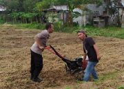 Bhabinkamtibmas Polsek Langsa Terjun ke Lahan Pertanian untuk Dukung Ketahanan Pangan Nasional