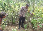Dukung Ketahanan Pangan, Bhabinkamtibmas Polsek Rantau Selamat Kunjungi Petani Sayuran