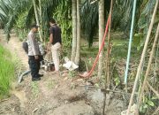 Bhabinkamtibmas Polsek Sungai Raya Dampingi Petani untuk Jaga Ketahanan Pangan