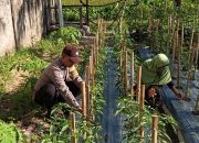 Bhabinkamtibmas Polsek Langsa Terjun Langsung Dukung Ketahanan Pangan Nasional
