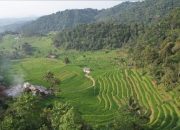 Dirjen Penataan Agraria Tegaskan Peran Reforma Agraria untuk Asta Cita di Rakor GTRA Jatim