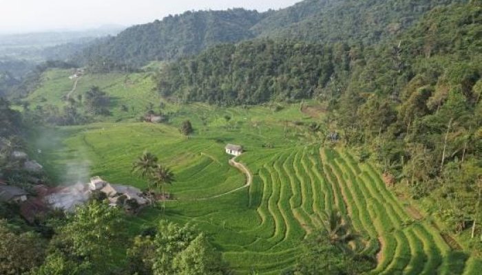 Dirjen Penataan Agraria Tegaskan Peran Reforma Agraria untuk Asta Cita di Rakor GTRA Jatim