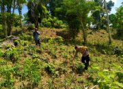 Bhabinkamtibmas Polsek Sungai Raya Dorong Ketahanan Pangan, Sambangi Petani Cabai dan Sayuran