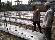 Bhabinkamtibmas Polsek Langsa Barat Dorong Ketahanan Pangan melalui Sambangi Kebun Warga