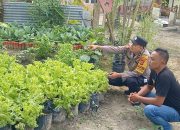 Dukung Ketahanan Pangan, Bhabinkamtibmas Langsa Timur Ajak Warga Manfaatkan Lahan Pekarangan Rumah