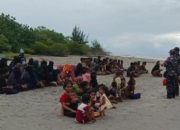 Kapal Hendak Tenggelam, 116 Imigran Rohingya Terdampar di Aceh Timur