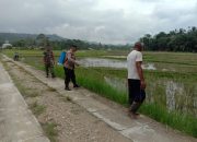 Bhabinkamtibmas Polsek Birem Bayeun Lakukan Penyemprotan Rumput Liar di Paya Billi Sa